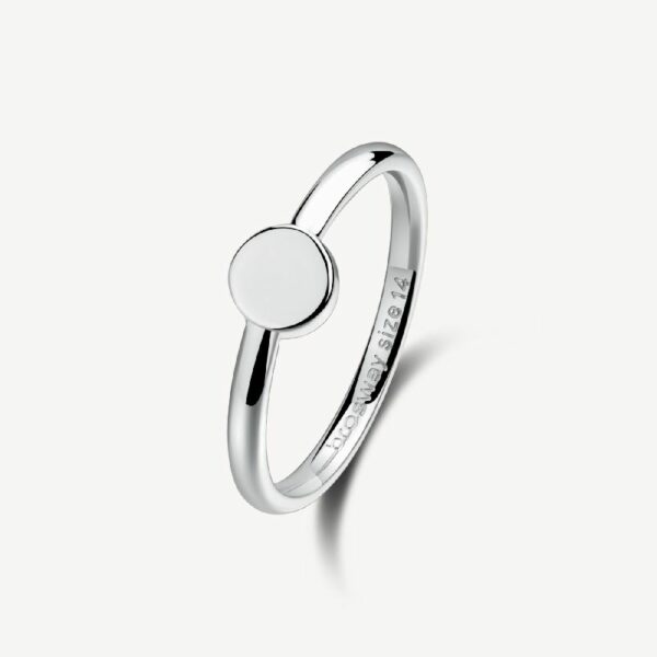 Anello in acciaio 316L.