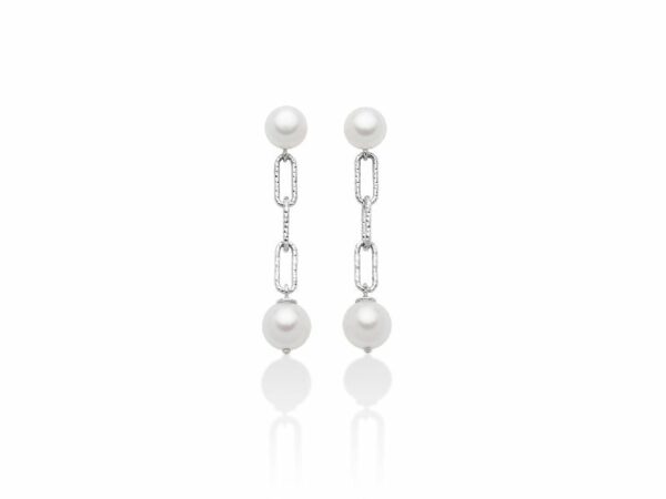Orecchini in argento