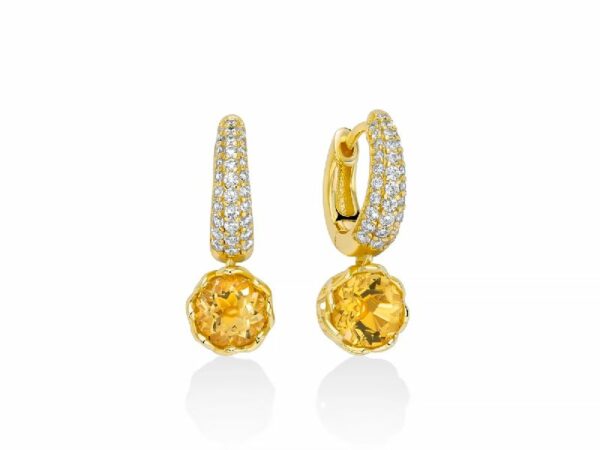 Orecchini in argento 925 con placcatura oro giallo