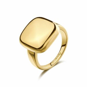 Anello MUSE in acciaio 316L, finitura pvd colore oro