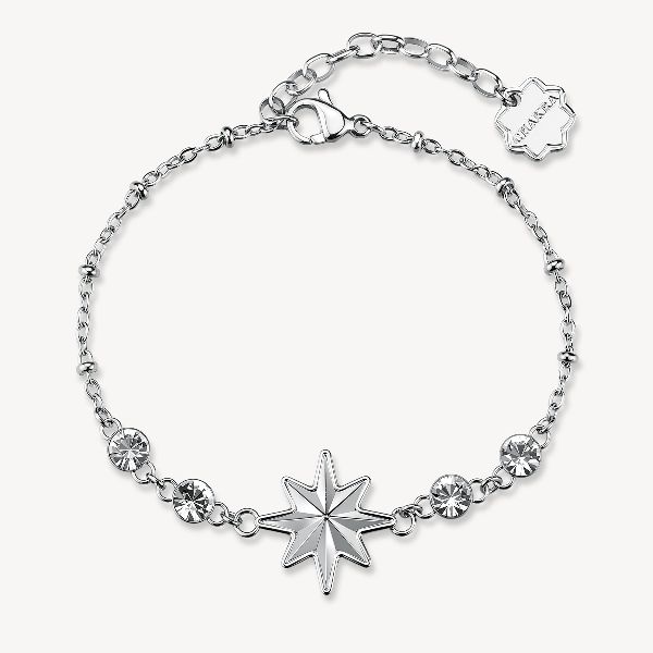 Bracciale CHAKRA in acciaio 316L, con rosa dei ven