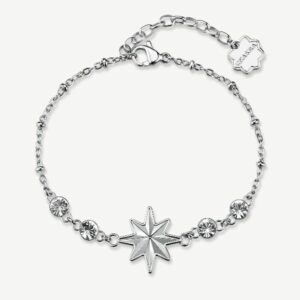 Bracciale CHAKRA in acciaio 316L, con rosa dei ven