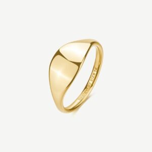 Anello sigillo in acciaio 316L e finitura pvd oro 14K.