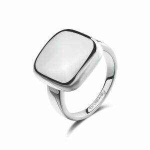 Anello MUSE in acciaio 316L