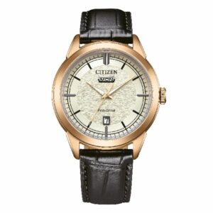 Citizen OF Collection Day Date Bianc