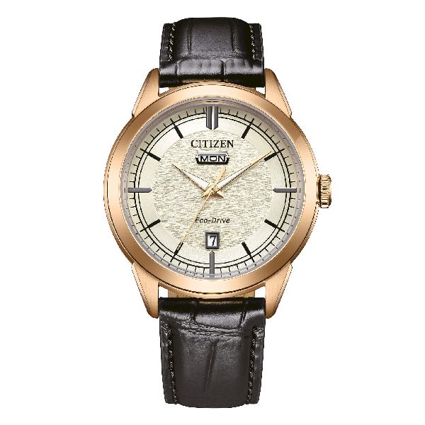 Citizen OF Collection Day Date Bianc